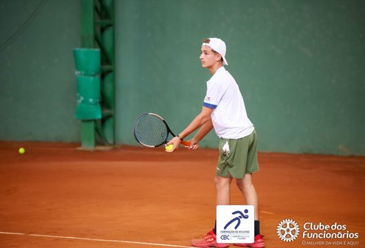 Descrição da Imagem 1