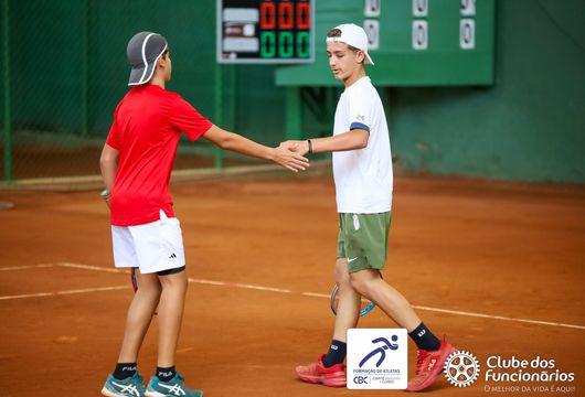 Descrição da Imagem 1