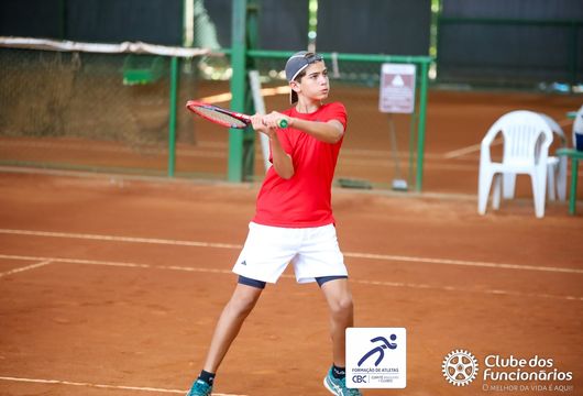 Descrição da Imagem 1