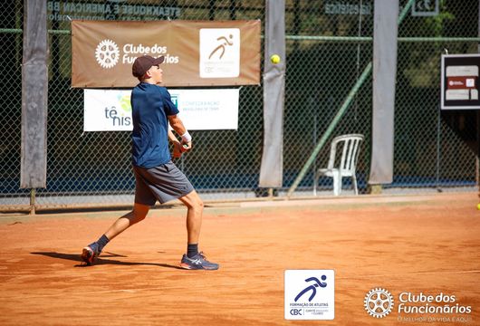 Descrição da Imagem 1