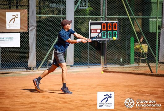 Descrição da Imagem 1