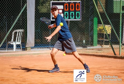 Descrição da Imagem 1