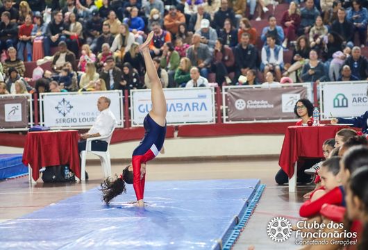 Descrição da Imagem 1