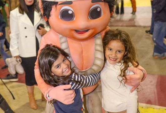 Descrição da Imagem 1