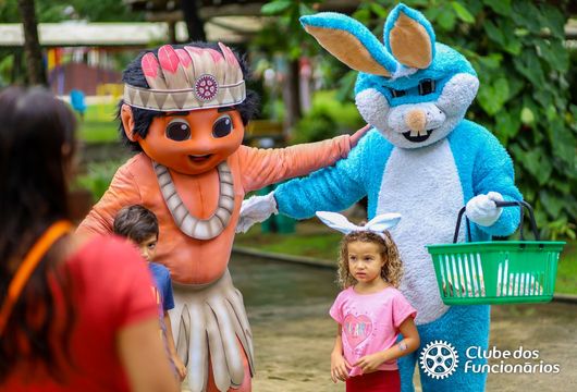 Descrição da Imagem 1