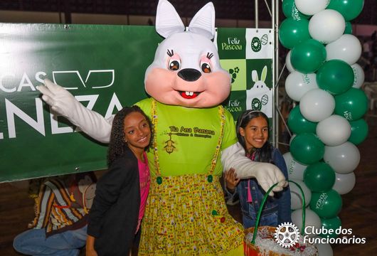 Descrição da Imagem 1