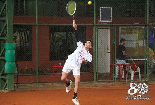 Descrição da Imagem 1