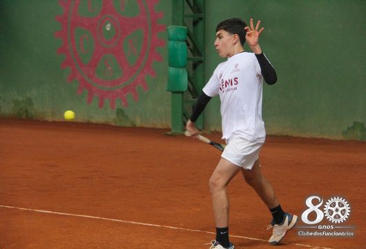 Descrição da Imagem 1