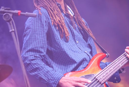 Descrição da Imagem 1