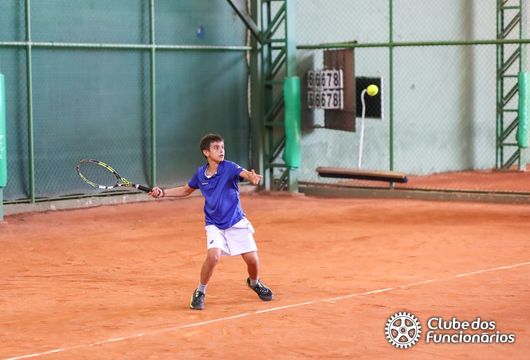 Descrição da Imagem 1