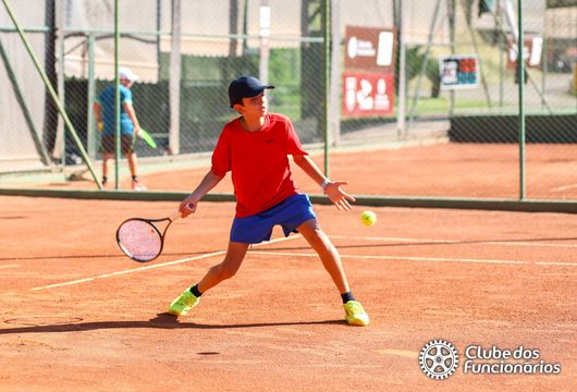 Descrição da Imagem 1