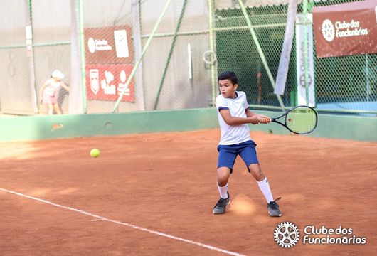 Descrição da Imagem 1