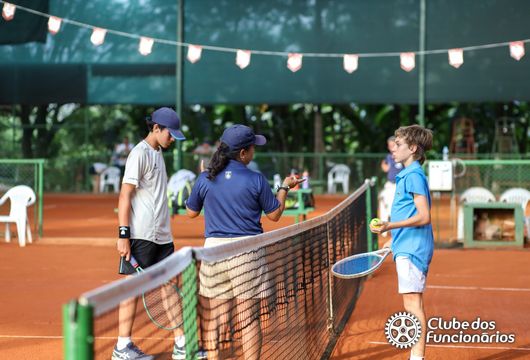 Descrição da Imagem 1