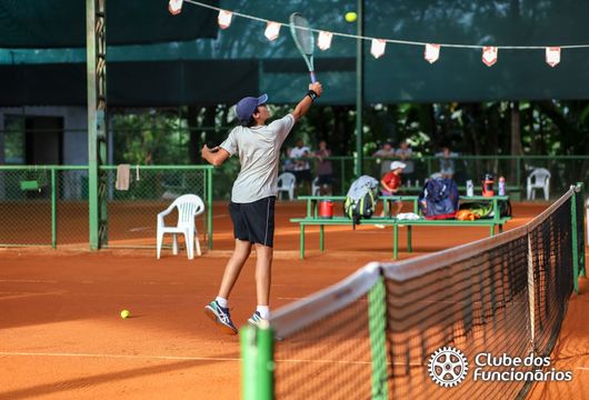 Descrição da Imagem 1