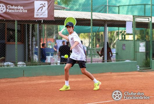 Descrição da Imagem 1