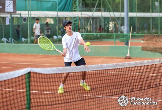 Descrição da Imagem 1