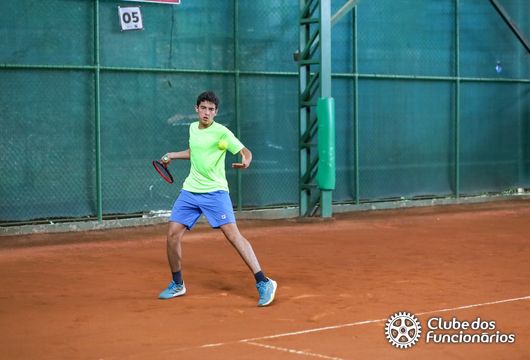 Descrição da Imagem 1