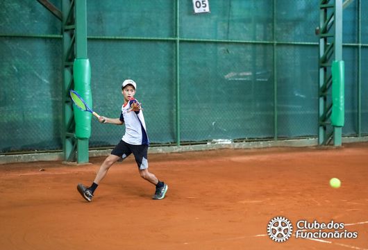 Descrição da Imagem 1