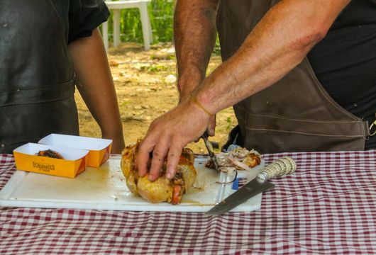 Descrição da Imagem 1