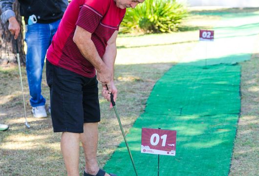 Descrição da Imagem 1