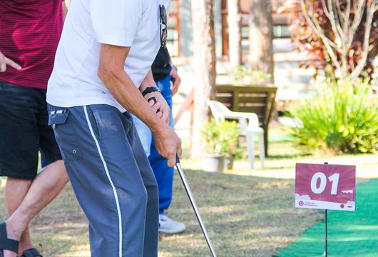 Descrição da Imagem 1