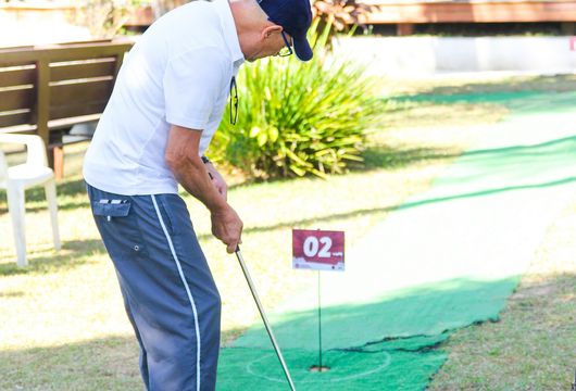 Descrição da Imagem 1