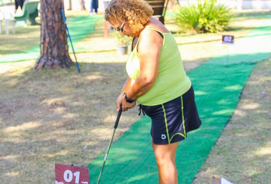 Descrição da Imagem 1