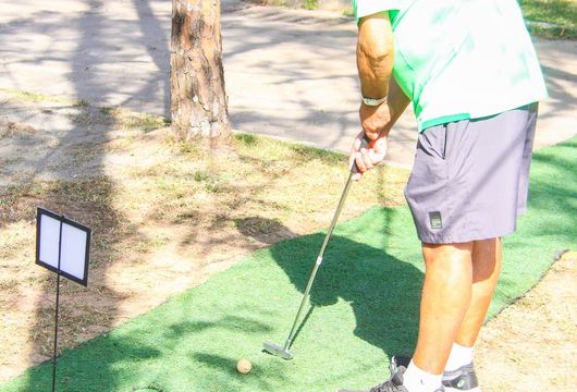 Descrição da Imagem 1