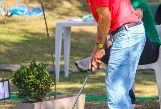 Descrição da Imagem 1