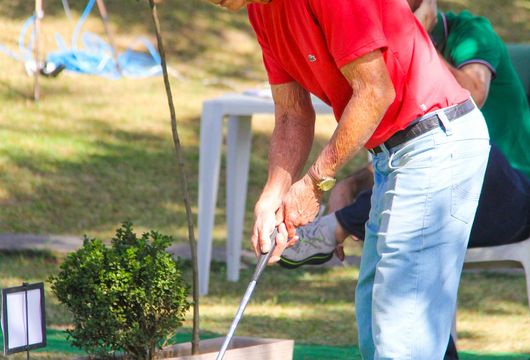 Descrição da Imagem 1