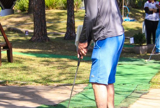 Descrição da Imagem 1