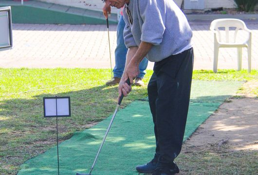 Descrição da Imagem 1