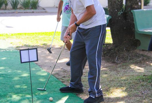 Descrição da Imagem 1