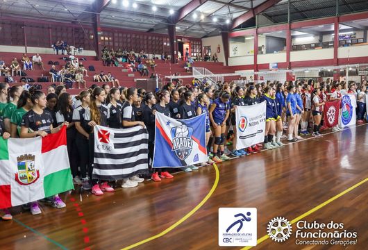 Descrição da Imagem 1