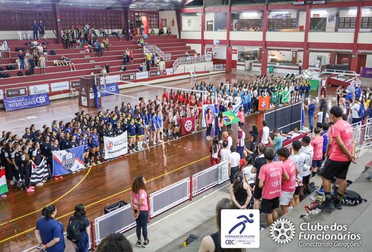 Descrição da Imagem 1