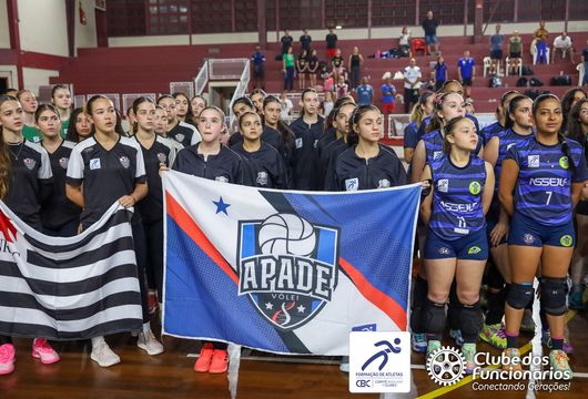 Descrição da Imagem 1