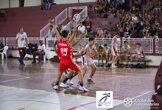 Descrição da Imagem 1