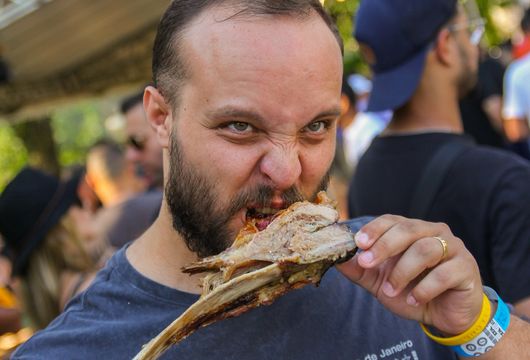 Descrição da Imagem 1