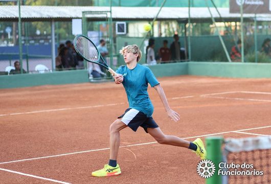 Descrição da Imagem 1