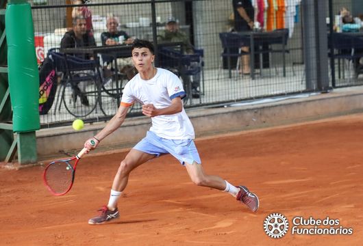 Descrição da Imagem 1