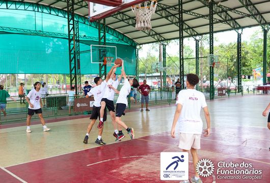 Descrição da Imagem 1