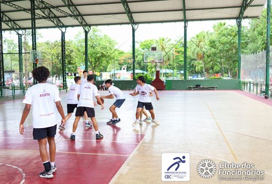 Descrição da Imagem 1