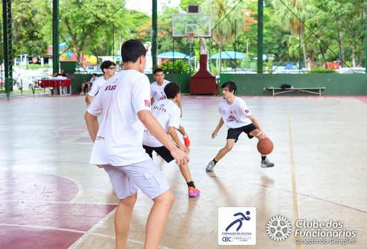 Descrição da Imagem 1