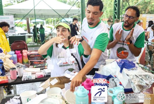 Descrição da Imagem 1