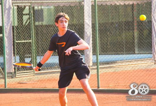 Descrição da Imagem 1