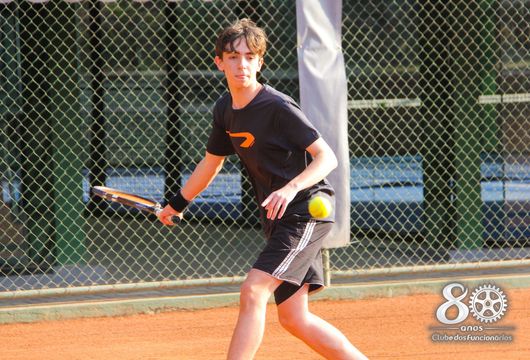 Descrição da Imagem 1