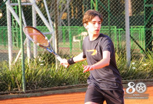 Descrição da Imagem 1