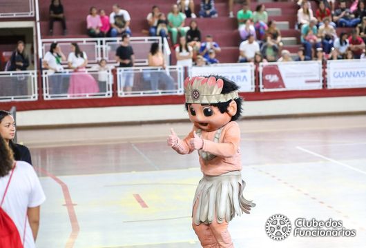 Descrição da Imagem 1