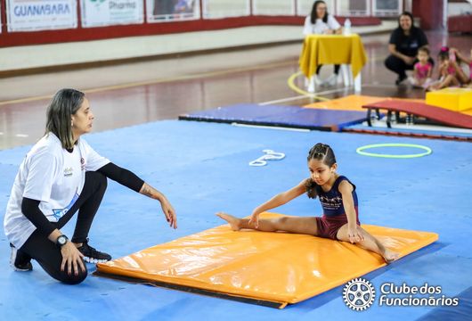 Descrição da Imagem 1