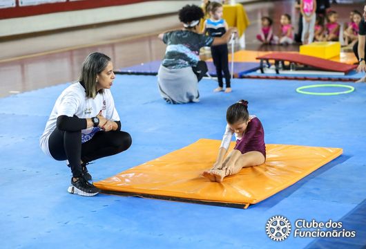 Descrição da Imagem 1